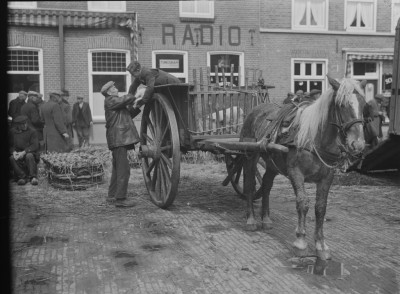 Inkorven van de biggen op de hoogkar op de biggenmarkt, Oss 1939