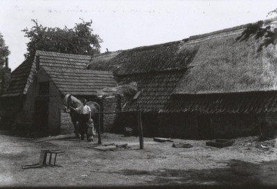 Buiten wordt afscheid genomen van het paard