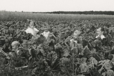 Verstoppertje spelen in het koolveld achter de boerderij van Spoorenberg, Eindhoven 1943