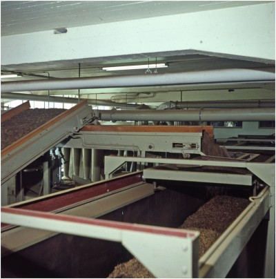 Sigarenproductie bij Velasques. Veldhoven, ca. 1955-1970