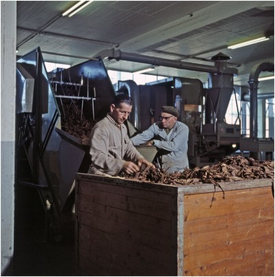 Twee werknemers aan het werk bij Velasques. Veldhoven, ca. 1955-170
