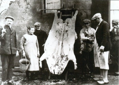 Na het slachten moest het varken enkele dagen versterven, buiten op de ladder, Mill ca. 1900