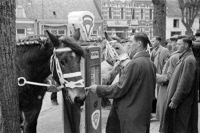 Paardenmarkt op de Heuvel, Oss (foto: Daan Scholte, collectie Stadsarchief Oss nr. DSN1366_44992