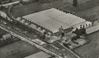 Luchtfoto van het complex van de N.V. Eindhovensche Katoen Maatschappij v/h Ign. de Haes in Mierlo