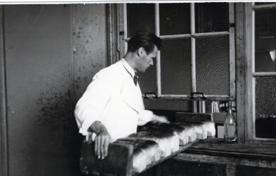 Broden uit de Buys-fabriek in de Lollestraat, Oudenbosch (foto: erven Buijs, collectie BHIC nr. 1947-000009)