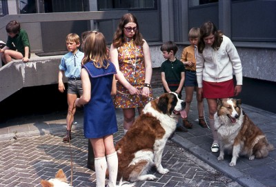 Huisdierenkeuring voor dierendag achter op de parkeerplaats van het oude gemeentekantoor, Vught ca. 1971 (foto: Vera Delleman-de Kort, collectie BHIC nr. 1923-003485)