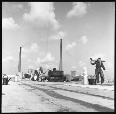Arbeiders op het dak van de extractiefabriek Organon, Oss 1956 (foto: Joop Schellinx, collectie BHIC nr. 1958-A-001647)