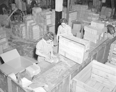 Werken in de fabriek