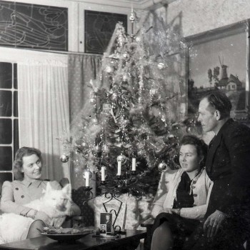 kerstboom