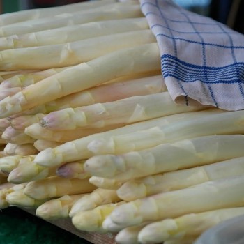 Asperges Pixabay