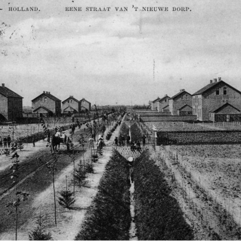 Budel Dorplein